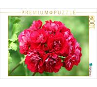Puzzle CALVENDO La magie des pélargoniums - Pelargonium Pink Rambler | 1000 pièc