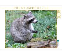 Puzzle · Le Raton Laveur - Le Porteur de Masque de nos forêts | 1000 pièces · Format assemblé 64 × 48 cm · CALVENDO Puzzle