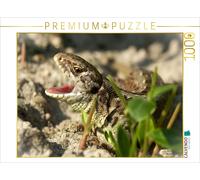 CALVENDO Puzzle The sand lizard bares its teeth | 1000 pieces, finished size 25.