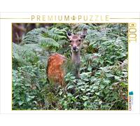 Puzzle · Le cerf de Sika - Le Petit Asiatique de nos forêts | 1000 pièces · Format assemblé 64 × 48 cm · CALVENDO Puzzle