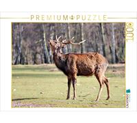 CALVENDO Puzzle The Sika Deer - The Little Asian Deer in Our Forests | 1000 piec