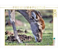 CALVENDO Puzzle The Sika Deer - The Little Asian Deer in Our Forests | 1000 piec