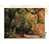 CALVENDO Puzzle The Süntel beech tree-lined avenue in Bad Nenndorf in October |