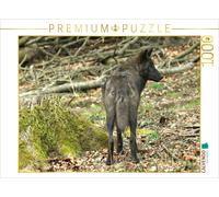 CALVENDO Puzzle The Timberwolf - The Hunter from the Rocky Mountains | 1000 piec