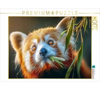 CALVENDO Puzzle This is the favorite dish | 1000 pieces, finished size 25.2 × 18
