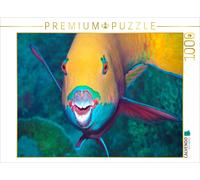 CALVENDO Puzzle This parrotfish seems to be asking, "Am I beautiful?" | 1000 pie