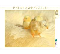 CALVENDO Puzzle Trois Poussins Mignons 1000 Pieces 64 x 48 cm from Heike Hultsch