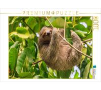 CALVENDO Puzzle Three-fingered sloth | 1000 pieces, finished size 25.2 × 18.9 in