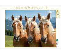 CALVENDO Puzzle Three friends - Haflinger horses | 1000 pieces, finished size 25