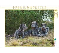 CALVENDO Puzzle Trois Chiens-Loups Irlandais allongés et détendus à l'ombre d'un pin 1000 Pieces 64 x 48 cm from Annett Mirsberger