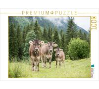 CALVENDO Puzzle Three purebred Brown Swiss cows | 1000 pieces, finished size 25.