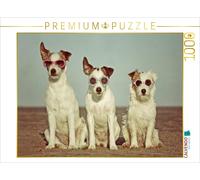 CALVENDO Puzzle Three Terrier Hippies | 1000 pieces, finished size 25.2 × 18.9 i