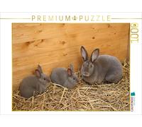 CALVENDO Puzzle Tierkinder - Kaninchenrasse "Rex" | 1000 Teile Lege-Größe 64x48c