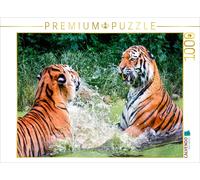 CALVENDO Puzzle Tigre 1000 Pieces 64 x 48 cm from Peter Roder