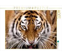 CALVENDO Puzzle Tiger 1000 Teile Puzzle quer 1000 Pieces 64 x 48 cm from Conny Krakowski