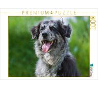 CALVENDO Puzzle Tiger - ein Altdeutscher Hütehund | 1000 Teile Lege-Größe 64x48c