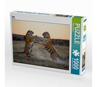 CALVENDO Puzzle Tigre 1000 Pieces 64 x 48 cm from MaVo Tier- und Naturfotografie