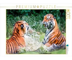 CALVENDO Puzzle Tigre 1000 Pieces 64 x 48 cm from Peter Roder