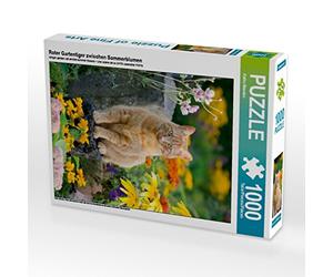 CALVENDO Puzzle Tigre de Jardin Rouge Entre des Fleurs d'été 1000 Pieces 48 x 64 cm from Katho Menden