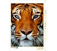 CALVENDO Puzzle Tigre Portrait 1000 pièces Taille 48 x 64 cm Photo Puzzle Photo par Angela Dölling AD Design Photo + PhotoArt