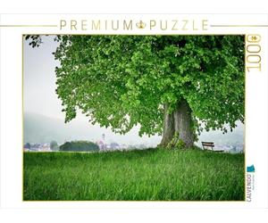 CALVENDO Puzzle Tilleul des Champs Devant Dollnstein 1000 Pieces 64 x 48 cm from Markus Treffer