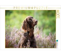 Puzzle · Le Temps passé avec Son Chien n'est jamais du Temps Perdu | Aila, femelle allemande à poil long, dans la lande d'été · 1000 pièces · Format assemblé 64 × 48 cm · CALVENDO Puzzle