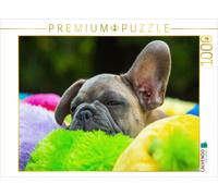 CALVENDO Puzzle Petit Chiot fatigué 1000 Pieces 64 x 48 cm from Sista-Tierfoto