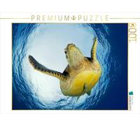 CALVENDO Puzzle Tortue de mer 1000 Pieces 64 x 48 cm from Henry Jager