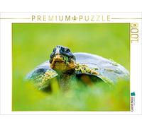 CALVENDO Puzzle Tortue géante des Galápagos 1000 Pieces 64 x 48 cm from Enrique Del Campo
