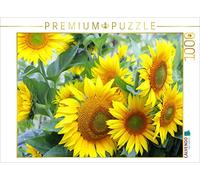 CALVENDO Puzzle Tournesols 1000 Pieces 64 x 48 cm from Gisela Kruse