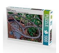 CALVENDO Puzzle Tracteurs - Fin de Partie 1000 Pieces 64 x 48 cm from Peter Roder