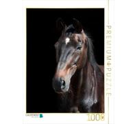 CALVENDO Puzzle Trakehner 1000 Pieces 48 x 64 cm from Sabine Heüveldop