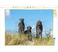 CALVENDO Puzzle Trois Irish Wolfhounds sur Une Dune à Sankt Peter-Ording 1000 Pieces 64 x 48 cm from Annett Mirsberger