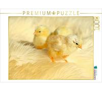 CALVENDO Puzzle Trois Poussins Mignons 1000 Pieces 64 x 48 cm from Heike Hultsch