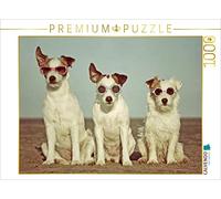 CALVENDO Puzzle Trois Terrierhippies 1000 Pieces 64 x 48 cm from Kathrin Köntopp