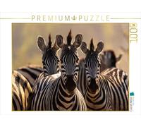 CALVENDO Puzzle Trois zèbres dans la lumière dorée du Soir dans Le Parc National de Makgadikgadi, Botswana | 1000 pièces de Ponte 64 x 48 cm Puzzle Photo pour des Heures heureuses