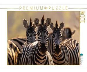 CALVENDO Puzzle Trois zèbres dans la lumière dorée du Soir dans Le Parc National de Makgadikgadi, Botswana | 1000 pièces de Ponte 64 x 48 cm Puzzle Photo pour des Heures heureuses