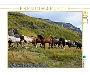 CALVENDO Puzzle Troupeau de Chevaux islandais 1000 Pieces 64 x 48 cm from Aussiefreak