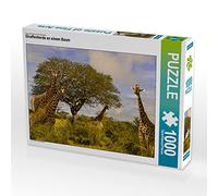 CALVENDO Puzzle Troupeau de girafes à Un Arbre 1000 Pieces 64 x 48 cm from Heinz-Peter Schwerin