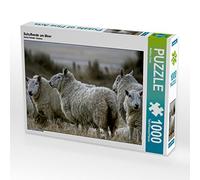 CALVENDO Puzzle Troupeau de Moutons au Bord de la mer 1000 Pieces 64 x 48 cm from Martina Cross
