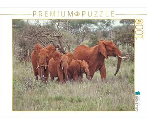 CALVENDO Puzzle Troupeau d'éléphants avec des Jeunes Animaux 1000 Pieces 64 x 48 cm from Susan Michel