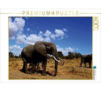 CALVENDO Puzzle Troupeau d'éléphants en Afrique 1000 Pieces 64 x 48 cm from Wibke Woyke