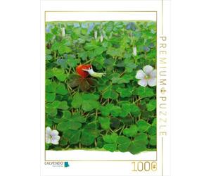 CALVENDO Puzzle Trouvez Votre Bonheur 1000 Pieces 48 x 64 cm from Jutta Kleinert