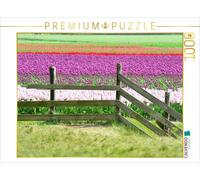 CALVENDO Puzzle Champs de Tulipes 1000 Pieces 64 x 48 cm from Diana Schröder