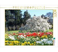 CALVENDO Puzzle Tulipes en Fleurs dans Le Jardin panoramique Hermannshof à Weinheim an der Bergstraße 1000 Pieces 64 x 48 cm from Ilona Andersen