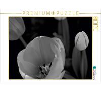 CALVENDO Puzzle Tulpenblüten in schwarz/weiss 1000 Teile Puzzle quer | 1000 Teil