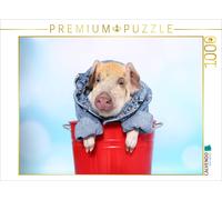 CALVENDO Puzzle Turopolje Ferkel / Turopolje Piglet 1000 Pieces 64 x 48 cm from Jeanette Hutfluss