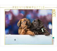 CALVENDO Puzzle Deux Chiots Briard 1000 Pieces 64 x 48 cm from Sonja Teßen