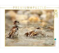 Puzzle CALVENDO Deux moineaux espiègles qui se baignent | 1000 pièces, format as
