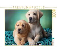 CALVENDO Puzzle Two Labrador Retriever puppies lie snuggled up together on a tur